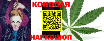 стафф Ставрополь