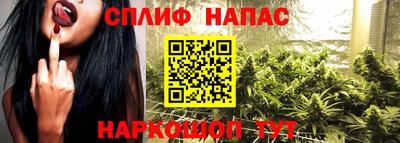 стаф Славгород