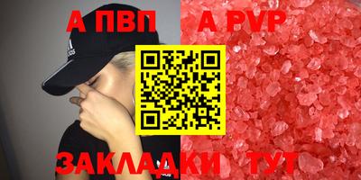 стаф Славгород